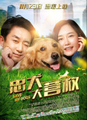 剑域问道光影之旅：探讨游戏中的美丽风景与场景设计